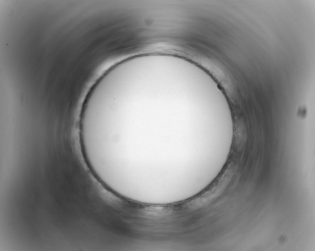 X0000102001478200808151436