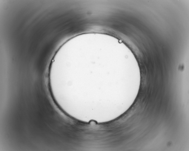 X0000102001479200808151436