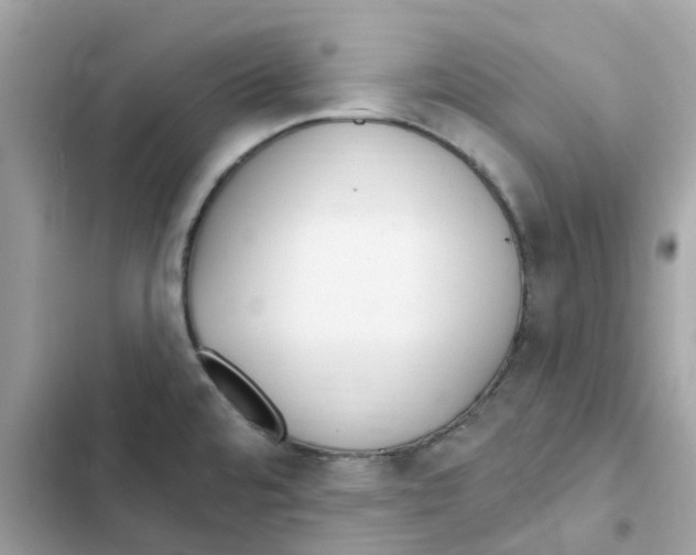 X0000102001480200808151436