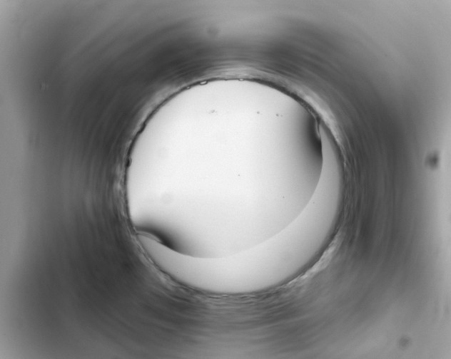 X0000102001481200808151436