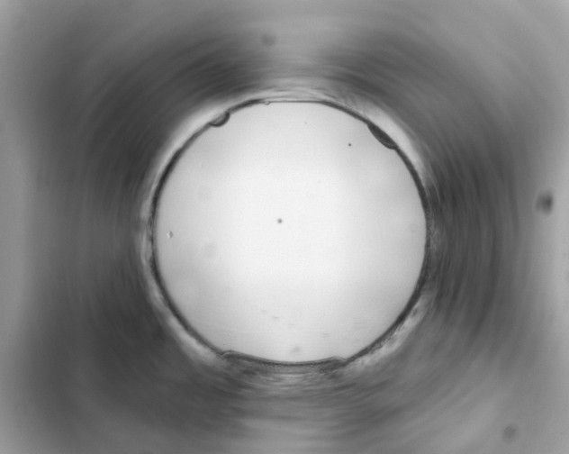 X0000102001485200808151435