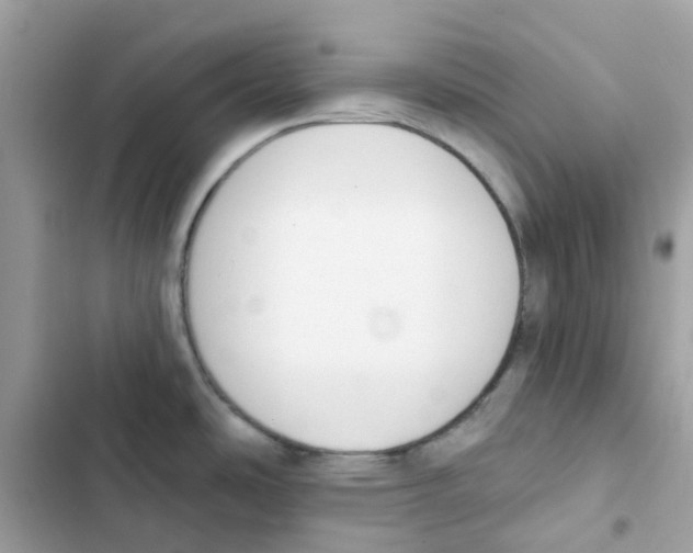 X0000102001486200808151435