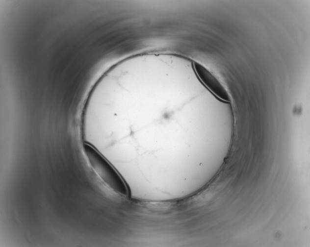 X0000102001488200808151435