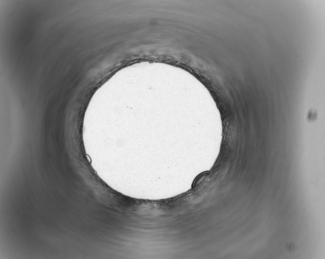 X0000102001489200808151435