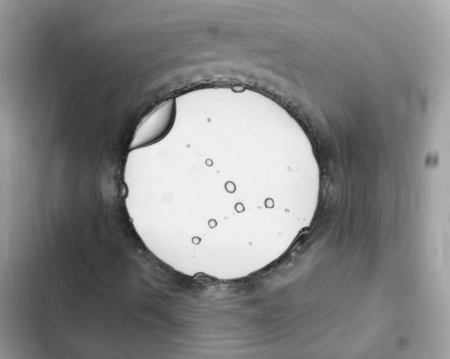 X0000102001490200808151435