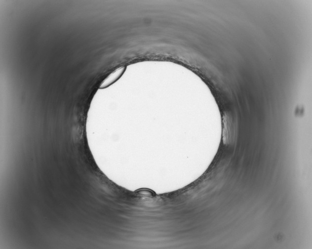 X0000102001491200808151435