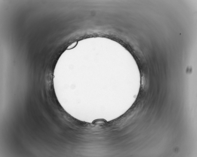 X0000102001492200808151435