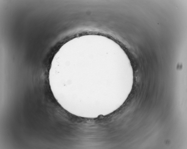 X0000102001495200808151435