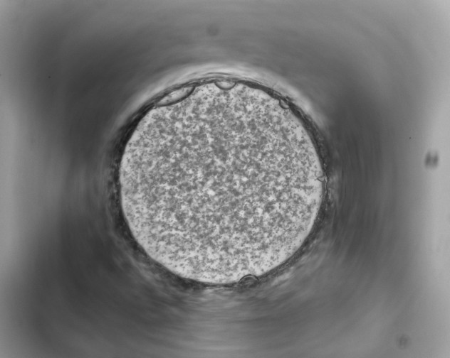 X0000102001496200808151435