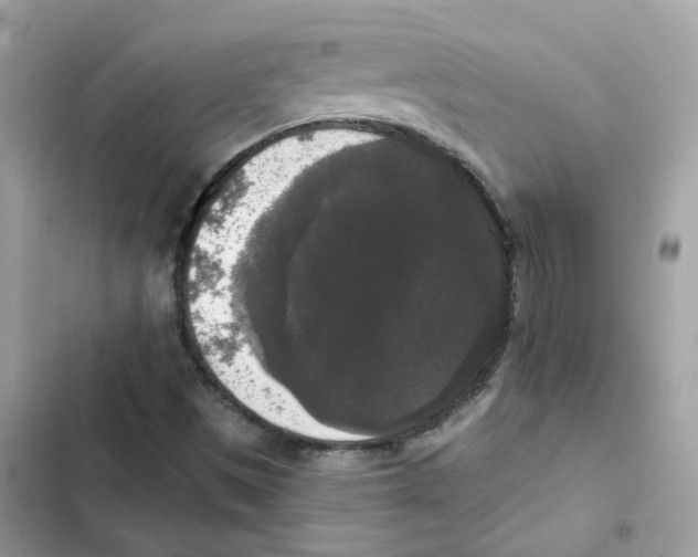 X0000102001497200808151435