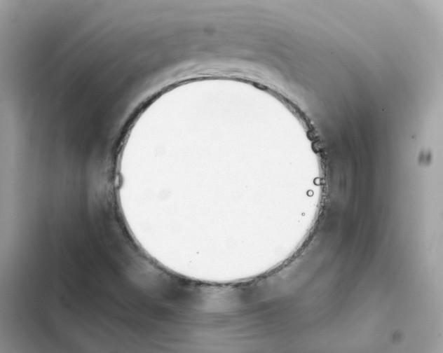 X0000102001498200808151435