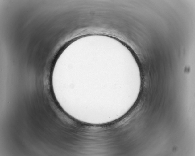 X0000102001499200808151435