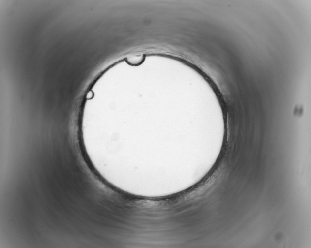 X0000102001500200808151435