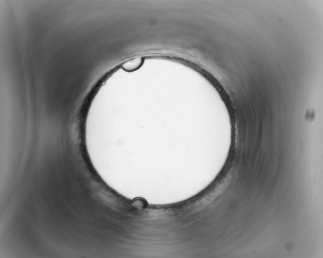 X0000102001501200808151435