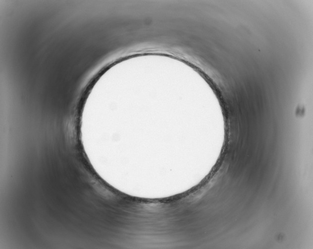 X0000102001502200808151435