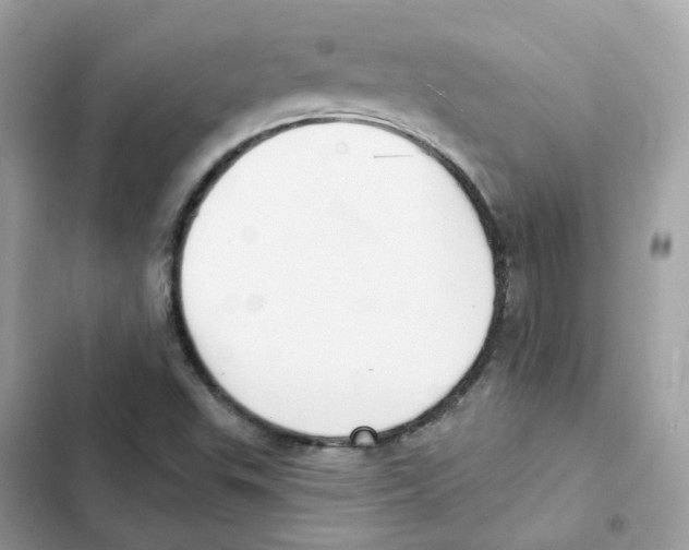 X0000102001503200808151435