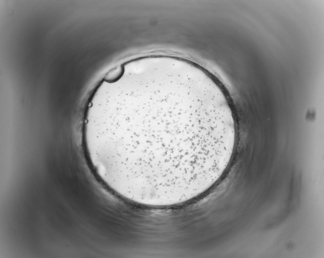 X0000102001504200808151435