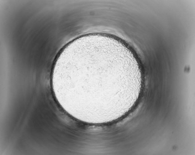 X0000102001505200808151435