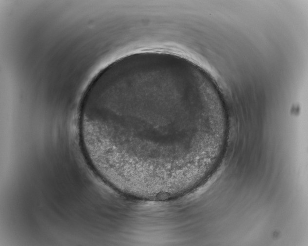 X0000102001506200808151435