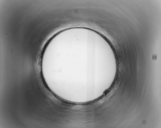 X0000102001510200808151435