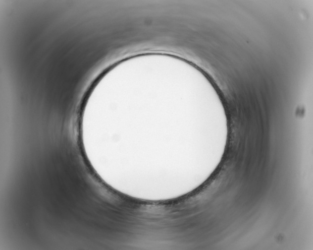 X0000102001511200808151435