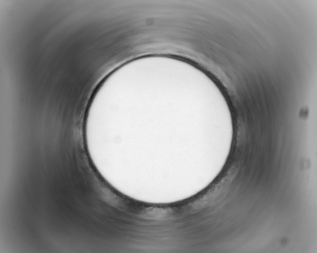 X0000102001513200808151435