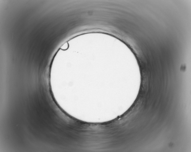 X0000102001516200808151435