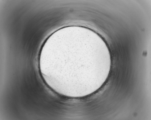 X0000102001517200808151435