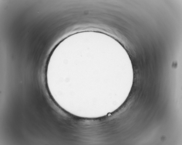 X0000102001518200808151435