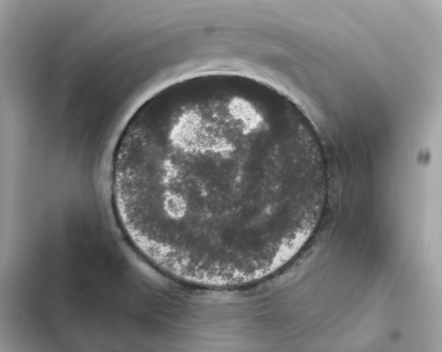 X0000102001519200808151435