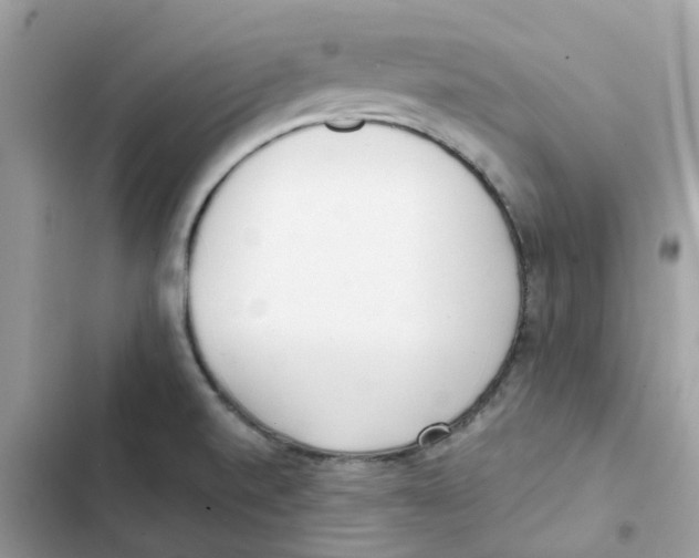 X0000102001520200808151435