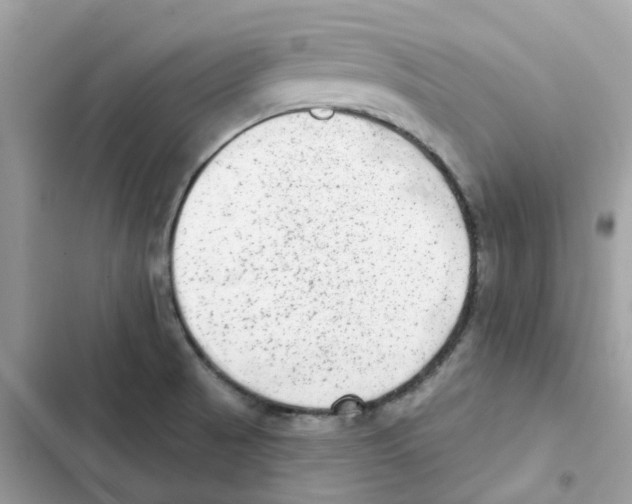 X0000102001521200808151435