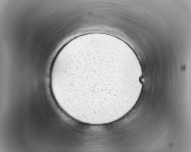 X0000102001523200808151435