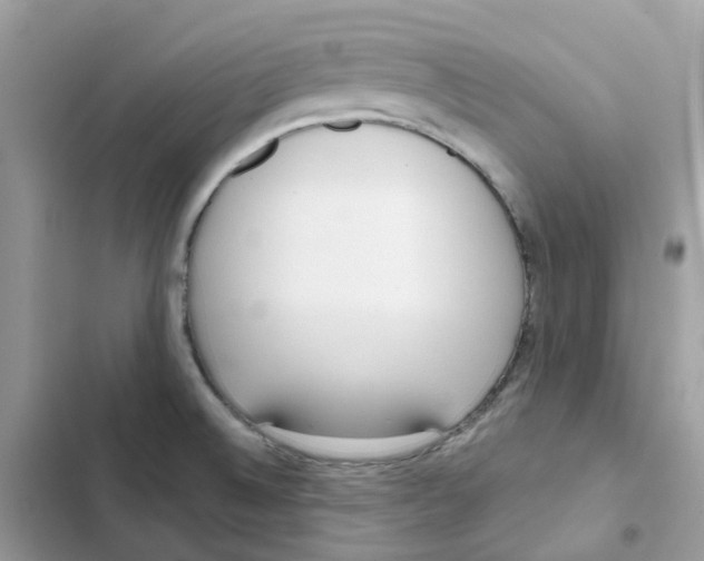 X0000102001524200808151435