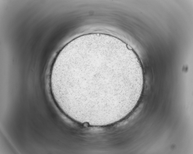 X0000102001525200808151435