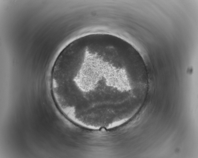 X0000102001527200808151435