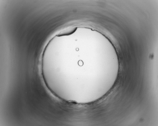 X0000102001528200808151435