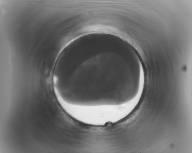 X0000102001529200808151435