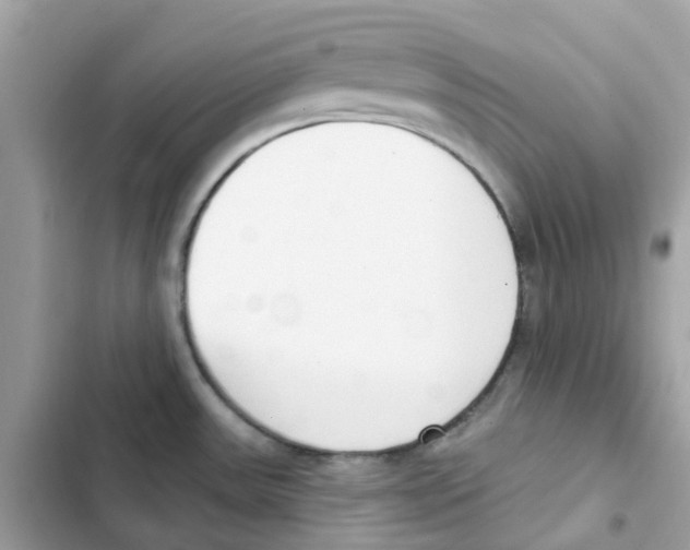 X0000102001531200808151435