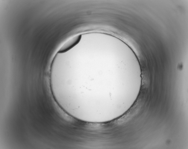 X0000102001532200808151435