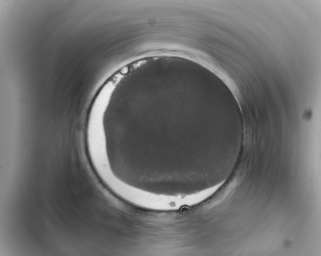 X0000102001533200808151435