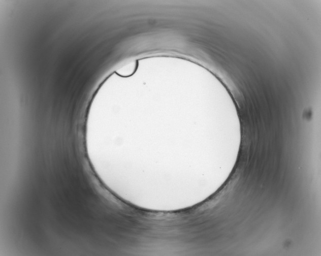 X0000102001534200808151435