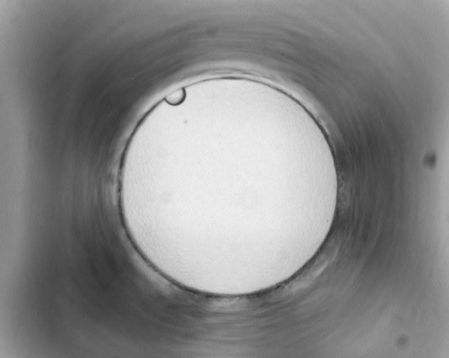 X0000102001535200808151435