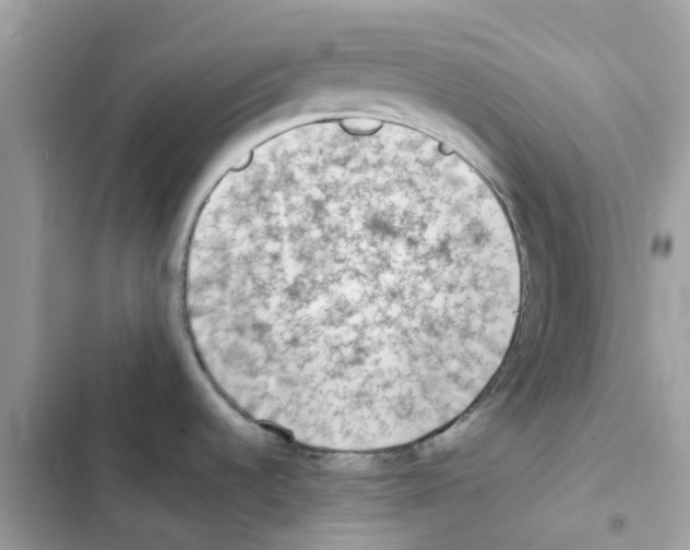 X0000102001536200808151435