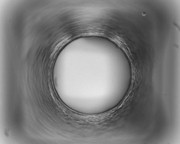 X0000102010001200807180922