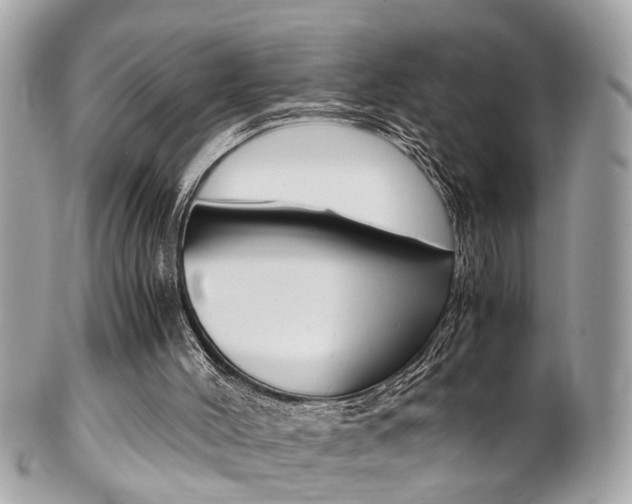 X0000102010004200807180921