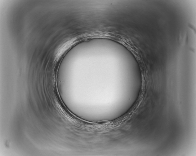 X0000102010005200807180921