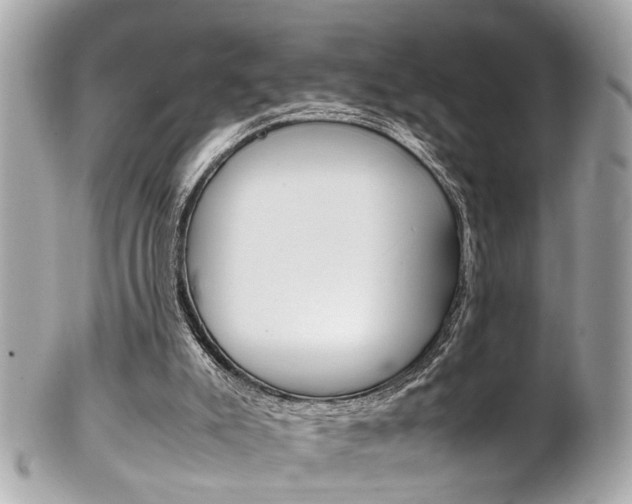 X0000102010007200807180921