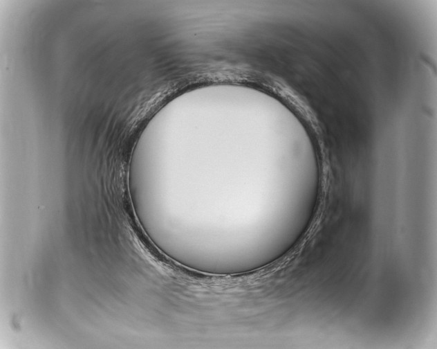 X0000102010009200807180921