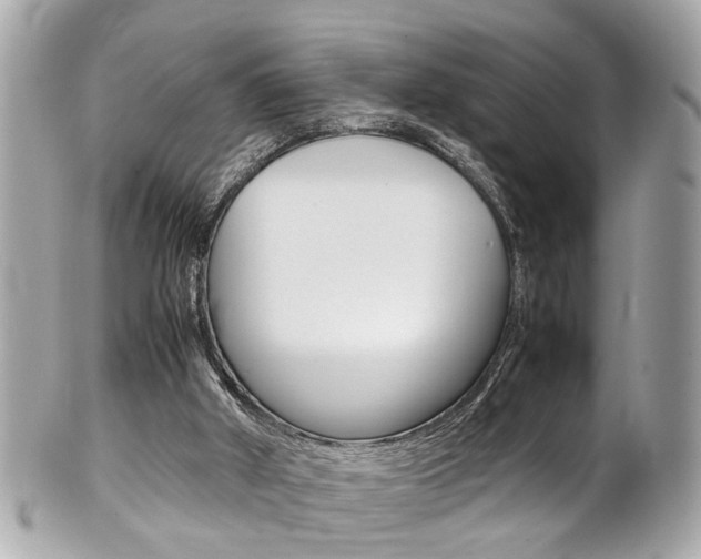 X0000102010010200807180921